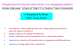Serguei Brazovski. Ferroelectricity in Organic and Polymeric