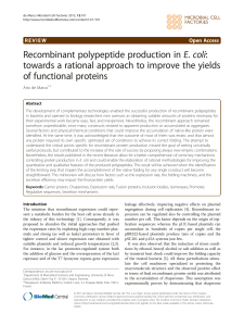 Recombinant polypeptide production inE. coli: towards a rational