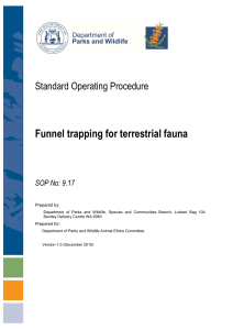 Funnel trapping for terrestrial fauna
