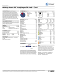 Neuberger Berman NVIT Socially Responsible Fund