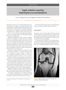 Septic arthritis caused by Peptostreptococcus asaccharolyticus