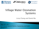Village Water Ozonation Systems