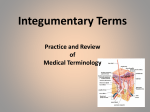 Integumentary Terms Practice and Review of Medical Terminology