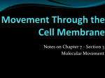 Movement Through the Cell Membrane