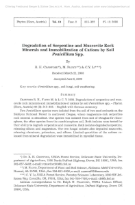 Degradation of Serpentine and Muscovite Rock Minerals