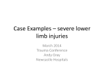 Case discussions Knee Course