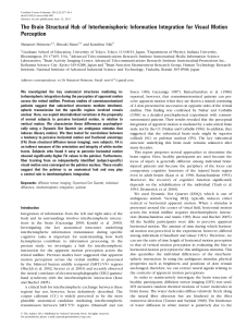 The Brain Structural Hub of Interhemispheric