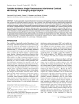 Variable Incidence Angle Fluorescence Interference Contrast