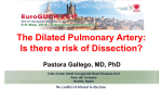 The Dilated Pulmonary Artery: Is there a risk of Dissection?