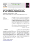 Structural, magnetic, and textural properties of iron oxide