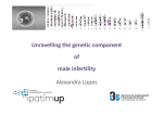 Unravelling the genetic component of male infertility Alexandra Lopes