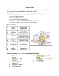 The Cranial Nerves [9-29