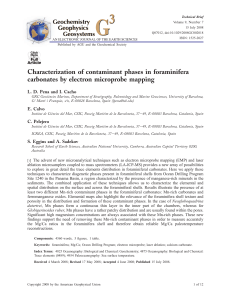Characterization of contaminant phases in foraminifera carbonates