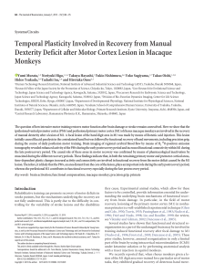 Temporal Plasticity Involved in Recovery from Manual Dexterity