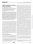 CellularandMolecularMechanisms ofBoneRemodeling*
