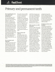 Primary and permanent teeth