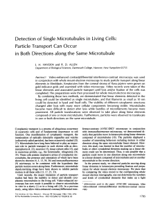 Detection of Single Microtubules in Living Cells