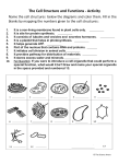 TheCellStructureandFunctionsACTIVITYWorksheetFREEScienceBiology-1