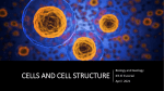 cell-structure