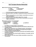 Cell Transport Review Worksheets (5)