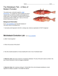 The Stickleback Fish - A Story of Modern Evolution