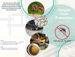 Dengue Fever Prevention (1)
