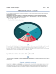 Guía de Estudio BIO II 4to Bachillerato