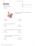 Respiratory System   Print - Quizizz