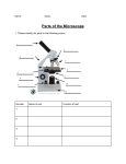 Parts of the microscope final 
