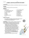 Testing for Common Gases LAB APPROVED