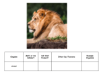 Kingdom- Classification of Organisms