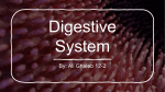 Ali Ghaleb 12-2 digestive system