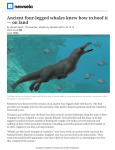 four-legged-whale-fossil-found-50901-article only