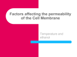 Effect of temperature on membranes