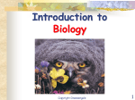 01.introduction to biology