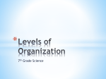 LevelsofOrganizationofLivingThingsPowerPoint-1