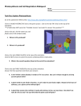 Photosynthesis and Cell Respiration Webquest