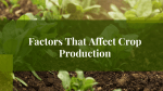 Factors that Affect Crop Production