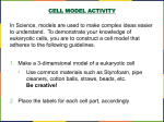 Ch.3.Cell Model Activity