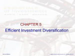 Chapter 5 Efficient Investment Diversification