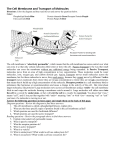 [Template] Cell Membrane and Color copy 