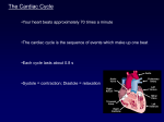 BSW cardiac cycle