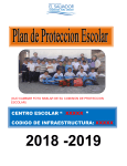 FORMATO PLAN DE PROTECCION 2018