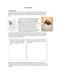 Zoroastrianism worksheet