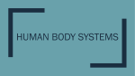 HumanBodySystems