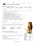 Practice with Taxonomy and Classification