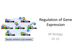 AP Bio Ch 15