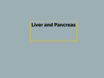 20. Liver  Pancreas