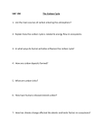 The Carbon Cycle Question Sheet