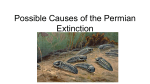 Permian Extinction Activity 2021
